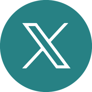 x-icon